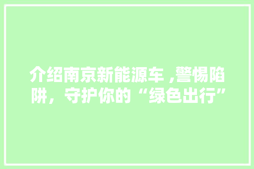 介绍南京新能源车 ,警惕陷阱，守护你的“绿色出行”梦想