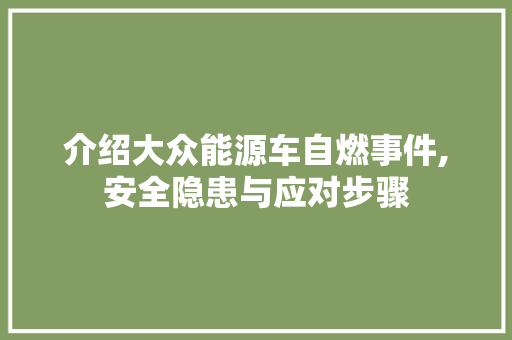 介绍大众能源车自燃事件,安全隐患与应对步骤