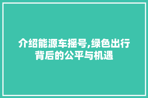 介绍能源车摇号,绿色出行背后的公平与机遇