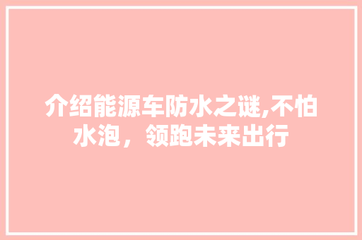 介绍能源车防水之谜,不怕水泡，领跑未来出行