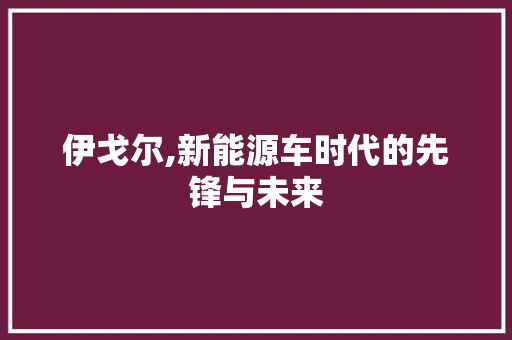 伊戈尔,新能源车时代的先锋与未来