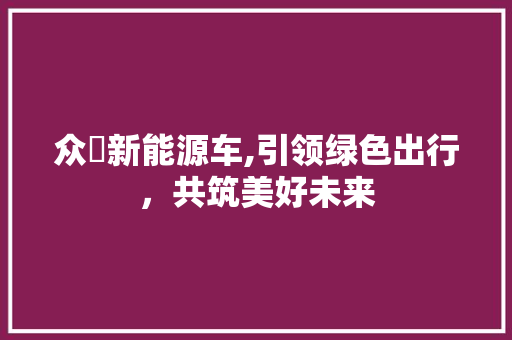众壵新能源车,引领绿色出行，共筑美好未来