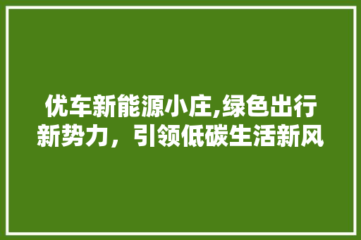 优车新能源小庄,绿色出行新势力，引领低碳生活新风尚