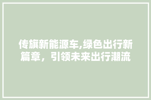 传旗新能源车,绿色出行新篇章，引领未来出行潮流