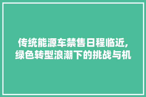 传统能源车禁售日程临近,绿色转型浪潮下的挑战与机遇