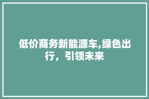 低价商务新能源车,绿色出行，引领未来