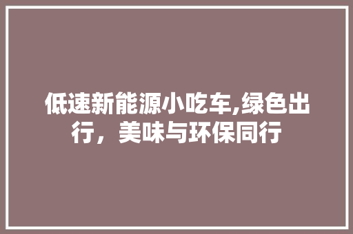 低速新能源小吃车,绿色出行，美味与环保同行