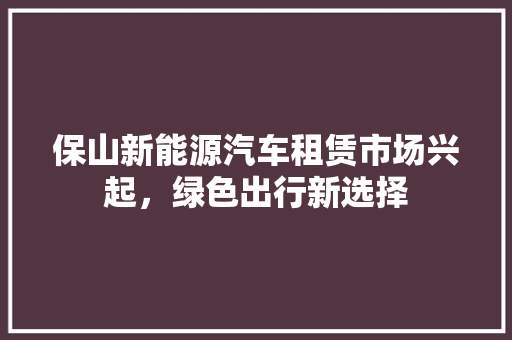 保山新能源汽车租赁市场兴起，绿色出行新选择