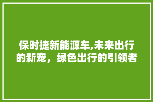 保时捷新能源车,未来出行的新宠，绿色出行的引领者