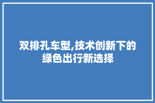 双排孔车型,技术创新下的绿色出行新选择