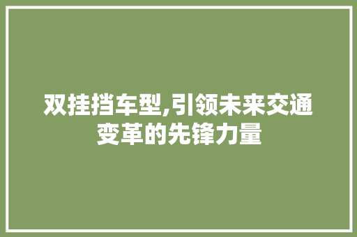 双挂挡车型,引领未来交通变革的先锋力量