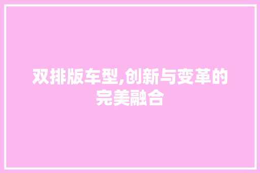 双排版车型,创新与变革的完美融合