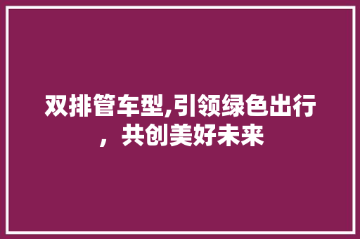 双排管车型,引领绿色出行，共创美好未来