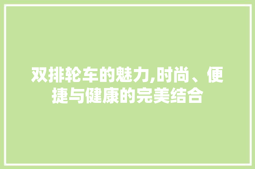 双排轮车的魅力,时尚、便捷与健康的完美结合