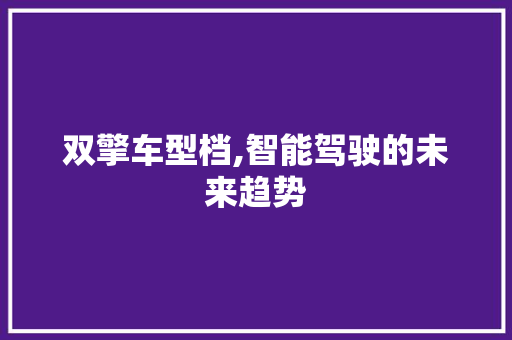 双擎车型档,智能驾驶的未来趋势