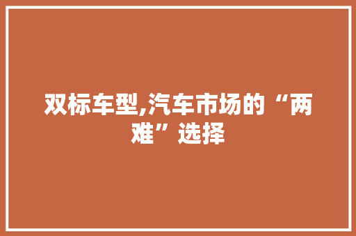 双标车型,汽车市场的“两难”选择