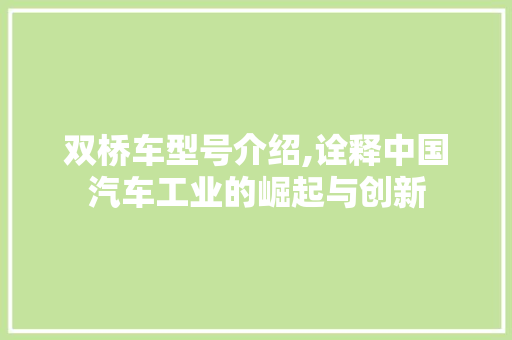 双桥车型号介绍,诠释中国汽车工业的崛起与创新