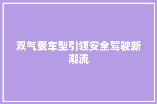 双气囊车型引领安全驾驶新潮流