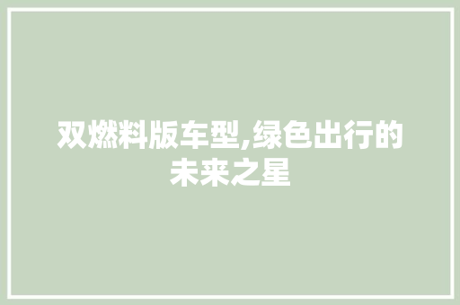 双燃料版车型,绿色出行的未来之星