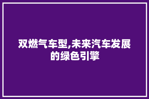 双燃气车型,未来汽车发展的绿色引擎