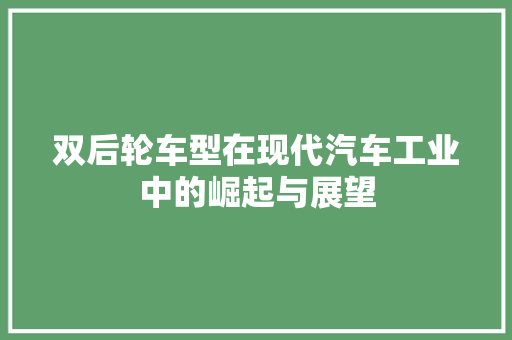 双后轮车型在现代汽车工业中的崛起与展望