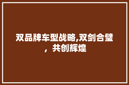 双品牌车型战略,双剑合璧，共创辉煌