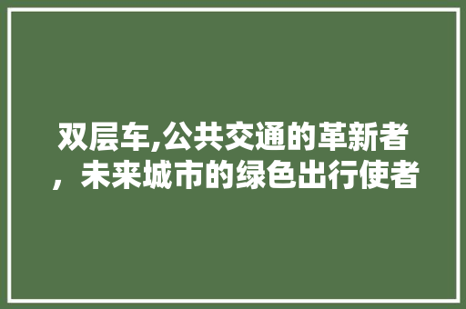 双层车,公共交通的革新者，未来城市的绿色出行使者