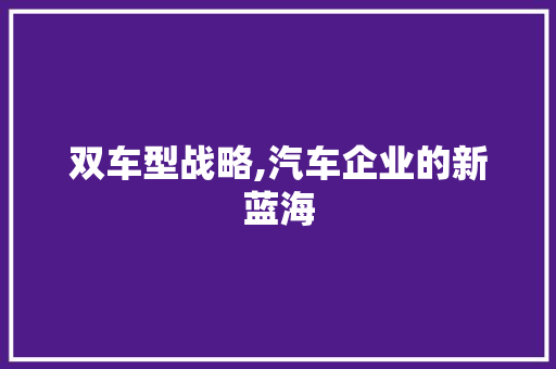 双车型战略,汽车企业的新蓝海