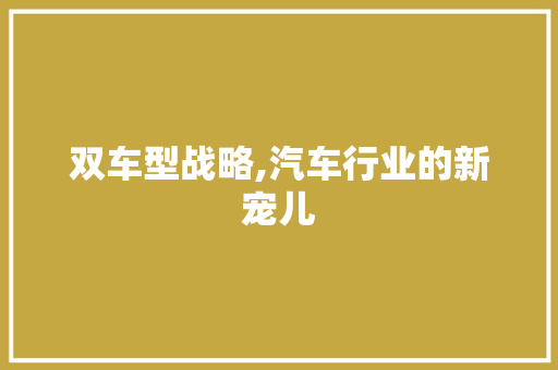 双车型战略,汽车行业的新宠儿