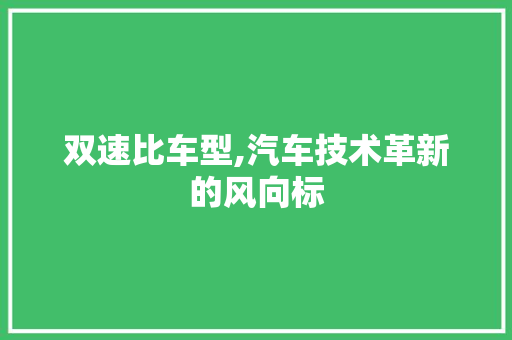 双速比车型,汽车技术革新的风向标