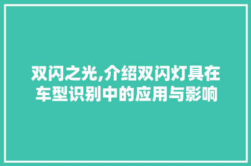双闪之光,介绍双闪灯具在车型识别中的应用与影响
