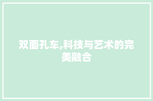 双面孔车,科技与艺术的完美融合 新款车型