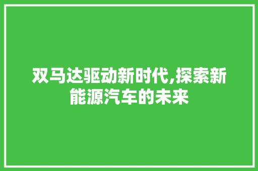 双马达驱动新时代,探索新能源汽车的未来 蓄电池配件
