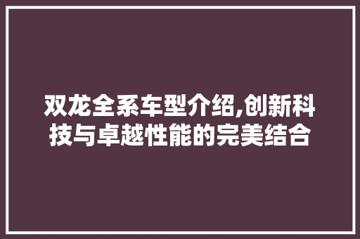 双龙全系车型介绍,创新科技与卓越性能的完美结合