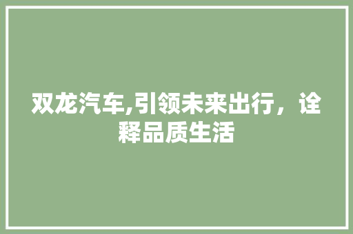 双龙汽车,引领未来出行，诠释品质生活