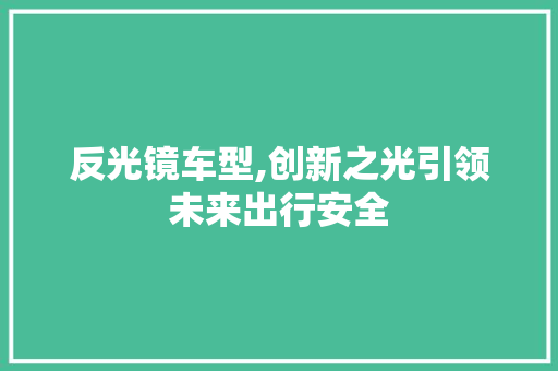 反光镜车型,创新之光引领未来出行安全