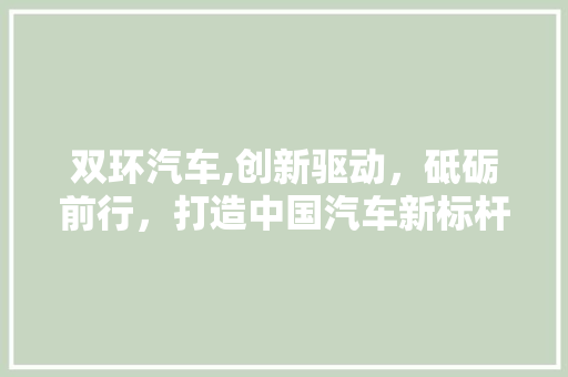 双环汽车,创新驱动，砥砺前行，打造中国汽车新标杆