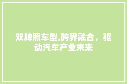 双牌照车型,跨界融合，驱动汽车产业未来