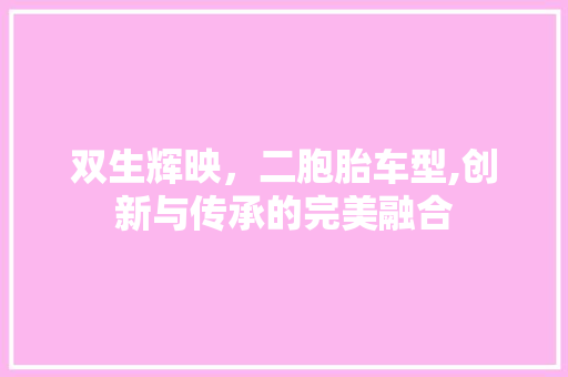 双生辉映，二胞胎车型,创新与传承的完美融合