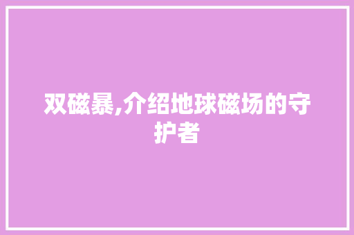 双磁暴,介绍地球磁场的守护者