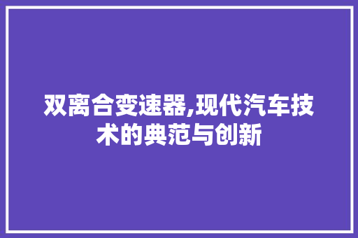 双离合变速器,现代汽车技术的典范与创新