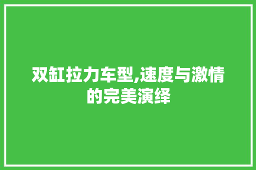 双缸拉力车型,速度与激情的完美演绎