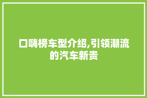 口嗨榜车型介绍,引领潮流的汽车新贵