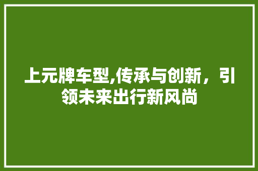 上元牌车型,传承与创新，引领未来出行新风尚