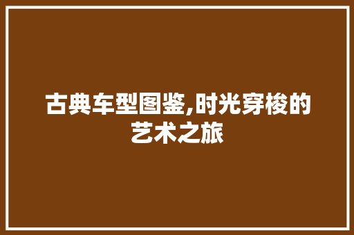 古典车型图鉴,时光穿梭的艺术之旅