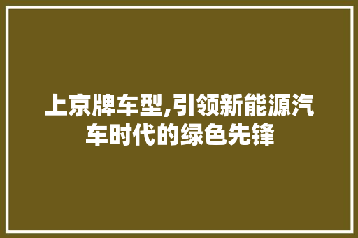 上京牌车型,引领新能源汽车时代的绿色先锋 新款车型