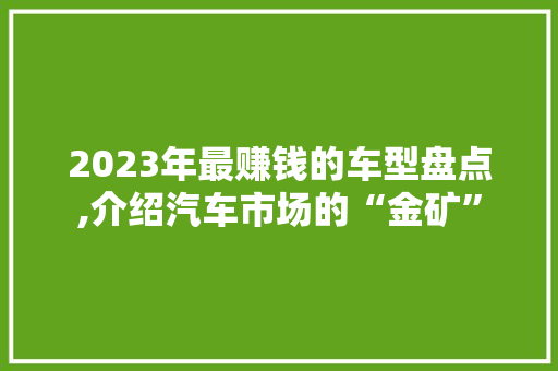 2023年最赚钱的车型盘点,介绍汽车市场的“金矿”