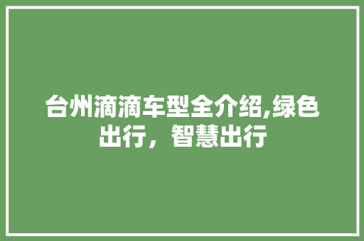 台州滴滴车型全介绍,绿色出行，智慧出行