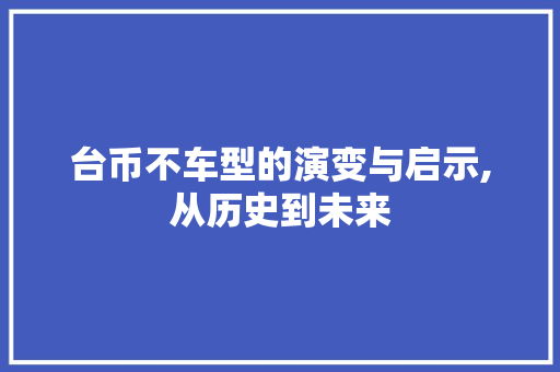 台币不车型的演变与启示,从历史到未来