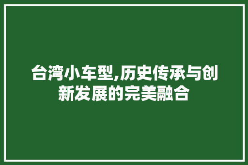 台湾小车型,历史传承与创新发展的完美融合